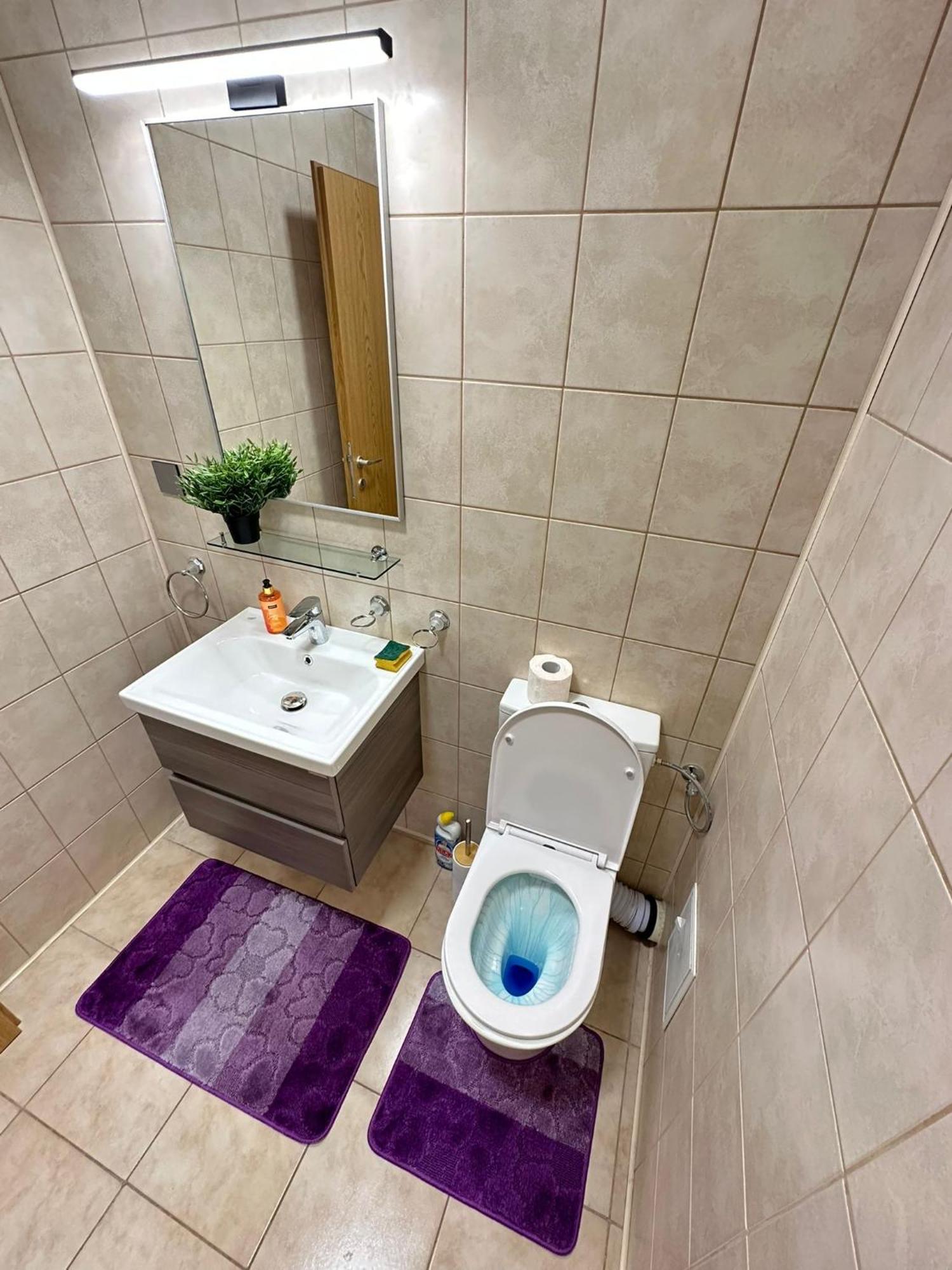 Centru Unirii Luxury Vip Palmier Apartament 2 Camere Cu Terasa Exterioara Amenajata ! Parcare Subterana Privata Climatizata Si Supravegheata Video Dar Doar Cu Rezervare In Limita Locurilor Disponibile !Proprietate In Regim Hoteliep - Nu Are Bucatarie Bukarest Eksteriør billede